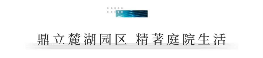 5.jpg 5.jpg