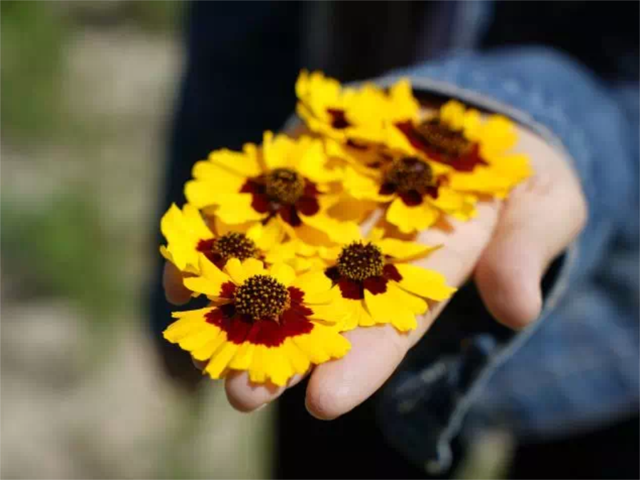 27.png 27.png