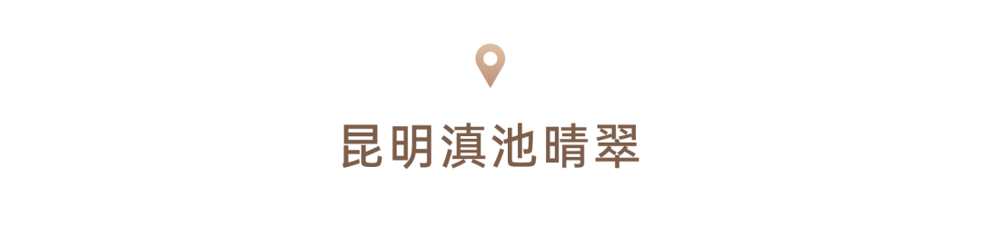 202403041552148567931 202403041552148567931