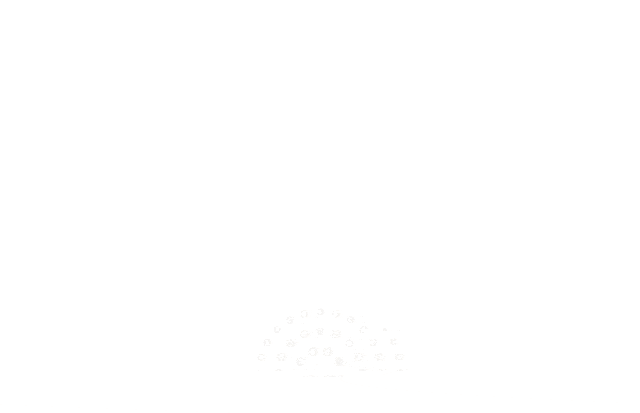 202506111030596351072